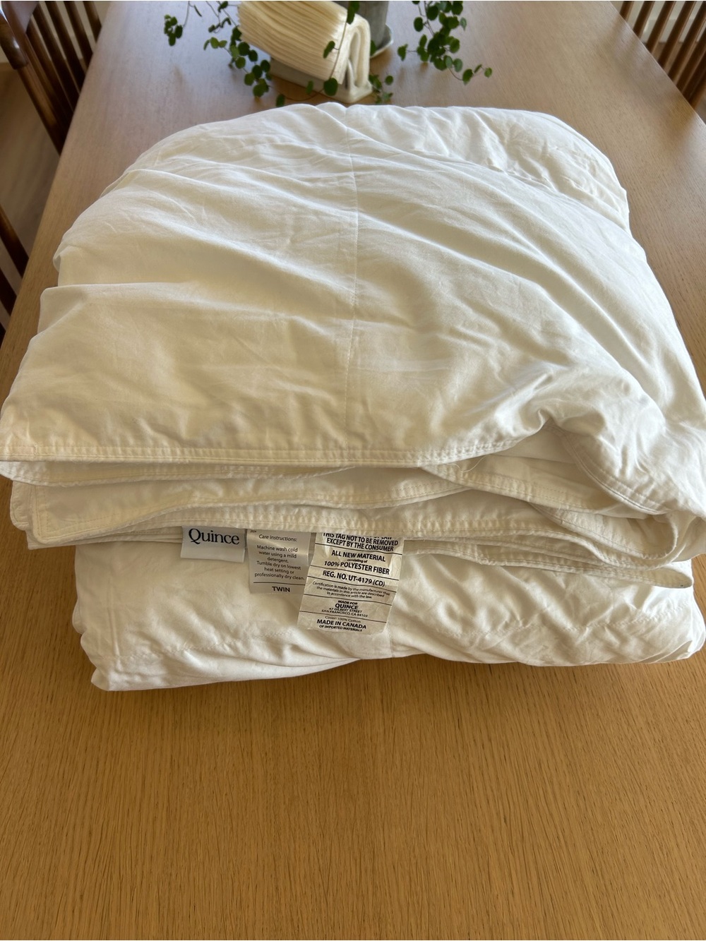 Quince Cream-White Down Alternative Comforter - All-Season Lightweight